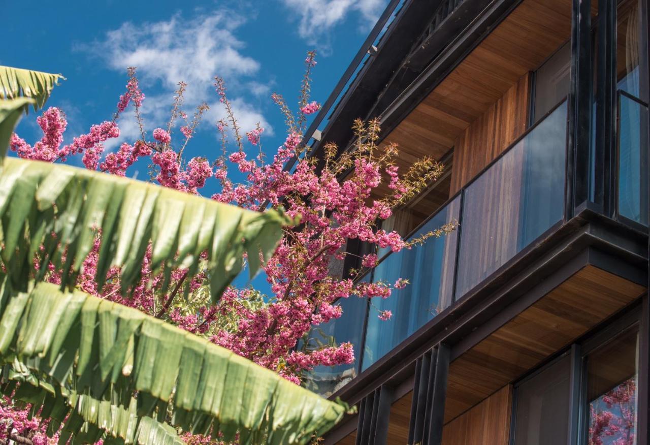 Yakamoz Erhai Hotel Ta-li Exteriér fotografie